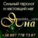 ������� � ����������: ���������� ������. �������. ������ ��������.