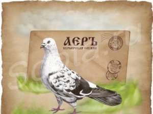 ���������� ������ �������� - ���� - ����������� 1