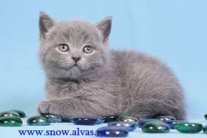 ���������� ������ - �����-�-�-� ������! ! ! - ����������� 1