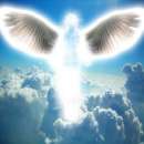 ���������� ������ ���������. �����, ������� � ����������� - ������