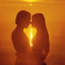 ������� � ����������: ���������� ������ - ��������� , �������