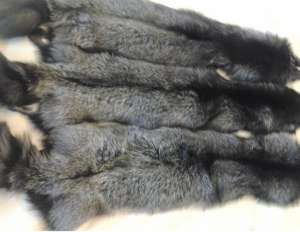 ���������� ������ ���������� � ������� � ����� - ����������� 1