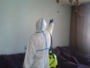 ���������� ������ . �����������. - ����������� 1