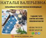 ������� � ����������: ���������� ������ ������������.