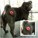 ���������� ������� - ����������� 2