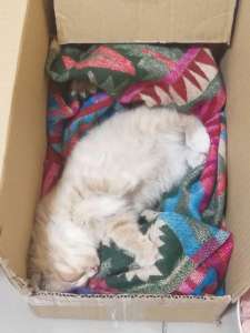 ���������� �������! - ����������� 1