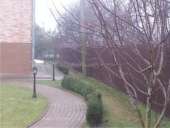 ������-���� ������� � ������������� �-��, �. �������� - ����������� 2