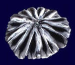 ������� � ����������: ���������� ������� �� ����