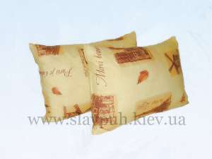 ���������� ������� �� �������������. - ����������� 1