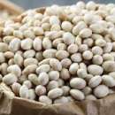 ������� � ����������: ���������� ������� ��� ����, �����, �����, �����������