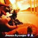 ������� � ����������: ���������� ������� ��� ������� ������� 🙏🏻🔮