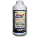 ���������� ������� ����. �������� - �������/�������