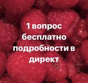 ���������� ������� ����� �� ���� ������ �������� ������ ����� ����� ����� ���� ��������� ��������� ������ - ����������� 1