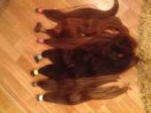 ���������� �������. ����� ���� ������. ������. - ����������� 2