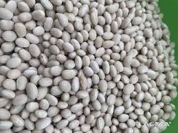 ���������� ������� �����, �����, ��� ����, ����������� - ����������� 1