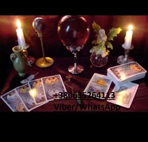 ����������, �������, �����, ������-�����, ��������, �������, �����, �����, �������� ����������, ��������� �������� - ����������� 1