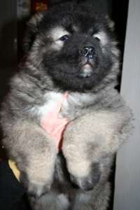 ���������� ������� ������ - ����������� 1