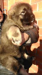 ���������� ������� ������ - ����������� 1