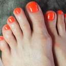 ������� � ����������: ���������� ������� ��������