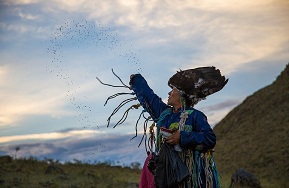 ����������, �������, �������� �� ������ �������� ����������� ��������, ��������� �������� ����������� �������� ��� �������� �� - ����������� 1