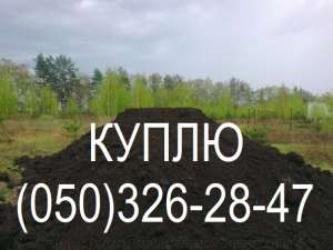 �����-����� ������� ��������� (�������� ���) - ����������� 1