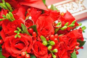 ���������� �������, ��������� ����������, �������� ���������. - ����������� 1