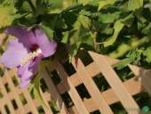 "���������� ������� ������������: ���, �����, ����� (1,2 � 0,62 �)","� � ������� �� ������ !. ������������ ������ - �������/�������