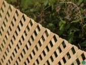 "���������� ������� ������������: ���, �����, ����� (1,2 � 0,62 �)","� � ������� �� ������ ! - ����������� 2