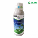 ���������� ��������. �������� - �������/�������