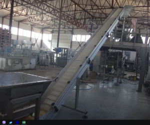 ���������� �������� zenith inox ������ - ����������� 1