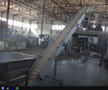 ������� � ����������: ���������� �������� zenith inox ������