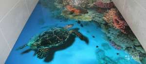 ���������� �������� ����, 3� ���, ������������ ��� - ����������� 1