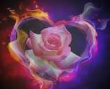 ���*������� �������� ����. �������� �������� ��������!. �����, ������� � ����������� - ������