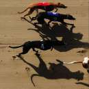 ������� � ����������: ���������� �������� �����