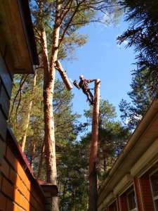 ���������� �������� ����� ��������� - ����������� 1