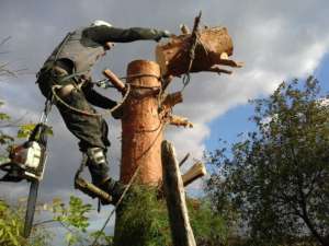 ���������� �������� ����� ���������, ���� � ������� - ����������� 1