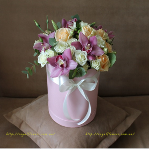 ���������� �������� ������ ���� - ����������� 1