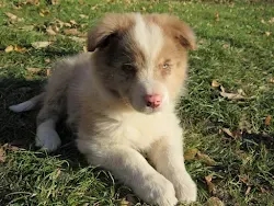 ���������� �������� ������ ������ ���� - ����������� 1