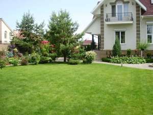 ���������� �������� �������� - ����������� 1