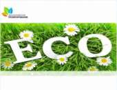 ���������� �������� �������� ������ ����. �������������, ������ - ������