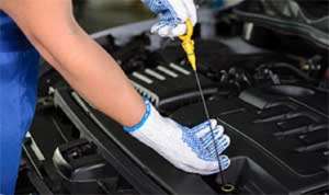 ����������. �����-���. ���������� �����. - ����������� 1