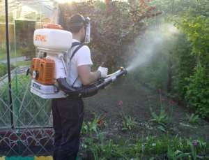 ���������� �������� ������������ - ����������� 1