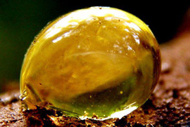 ���������� ���������! - ����������� 1