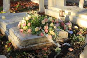 ���������� ��������� - ����������� 1