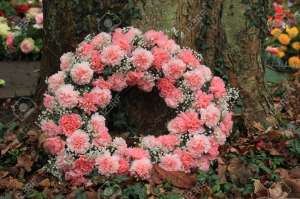 ���������� ��������� - ����������� 1