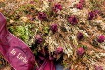 ���������� ��������� - ����������� 1