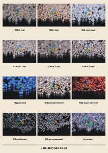 ���������� ��������� ������� ���, ���, ������, ��, ���������. - ����������� 1