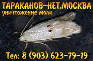 ���������� (���������) ���������, ��������, ����, ���������� ������ �� ���� ���. - ����������� 1