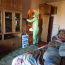 ������� � ����������: ���������� ��������� . �����������.