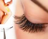 ������� � ����������: ���������� ��������� �������.��������� ��������� ��������� ��������